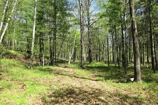 Xx S Long Lake Rd, Siren, WI 54872 - Photo 1