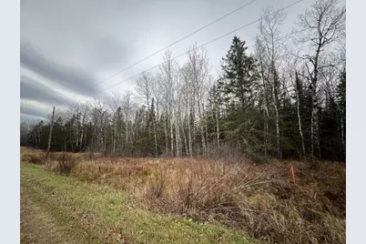 Tbd Townline Rd, Hibbing, MN 55746 - Photo 2