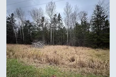 Tbd Townline Rd, Hibbing, MN 55746 - Photo 6