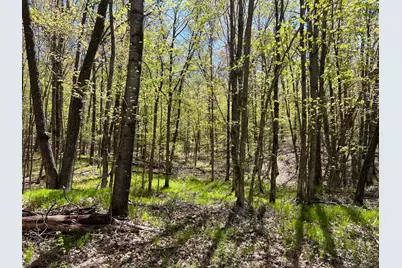 W6474 River Road, Trego, WI 54888 - Photo 14