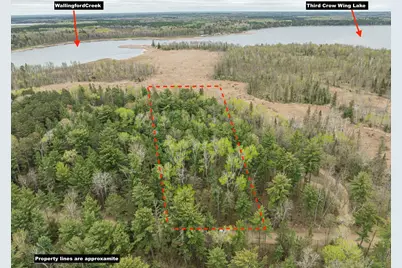 Tbd Chokecherry Drive, Nevis, MN 56467 - Photo 1