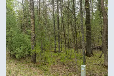 Tbd Chokecherry Drive, Nevis, MN 56467 - Photo 4