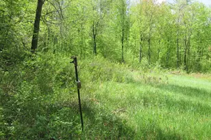 Xxx 810th St, Boyceville, WI 54751 - Photo 1