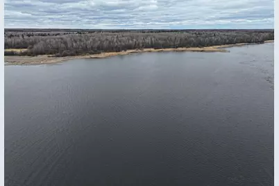 7710 Youngs Bay Drive NW, Angle Inlet, MN 56711 - Photo 2