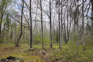 81289 East Side Fire Ln, Glidden, WI 54514 - Photo 12