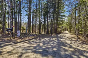 7185 Giants Ridge Rd, Embarrass, MN 55732 - Photo 46