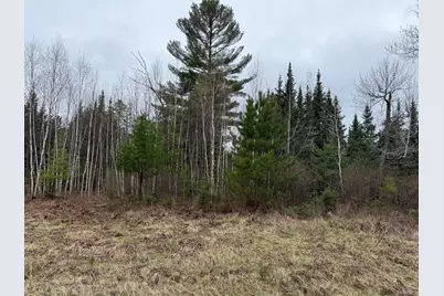 Tbd Scout Camp Road, Eveleth, MN 55734 - Photo 10