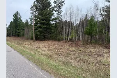 Tbd Scout Camp Road, Eveleth, MN 55734 - Photo 8