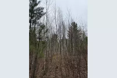 Tbd Scout Camp Road, Eveleth, MN 55734 - Photo 12