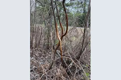Tbd Scout Camp Road, Eveleth, MN 55734 - Photo 14