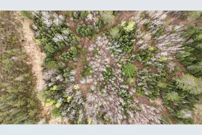 Tbd Scout Camp Road, Eveleth, MN 55734 - Photo 6