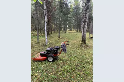 1616 Town Road 117, Baudette, MN 56623 - Photo 24