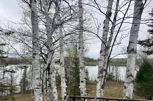 1616 Town Rd 117, Baudette, MN 56623 - Photo 20