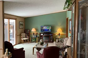 1616 Town Rd 117, Baudette, MN 56623 - Photo 6