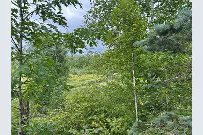 Tbd2 Duncan Road, Sandstone, MN 55072 - Photo 12