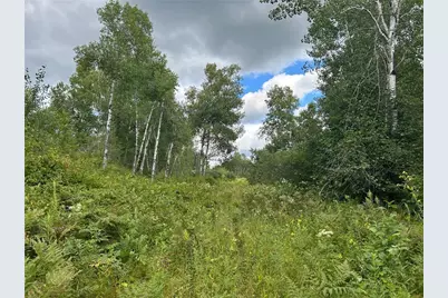 Tbd2 Duncan Road, Sandstone, MN 55072 - Photo 4