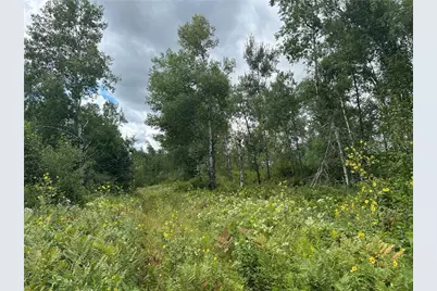 Tbd2 Duncan Road, Sandstone, MN 55072 - Photo 10