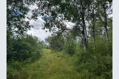Tbd2 Duncan Road, Sandstone, MN 55072 - Photo 6