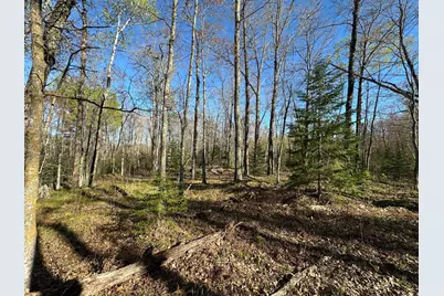 Tbd #1 110th Avenue, Finlayson, MN 55735 - Photo 6