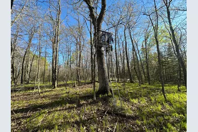 Tbd #1 110th Avenue, Finlayson, MN 55735 - Photo 4