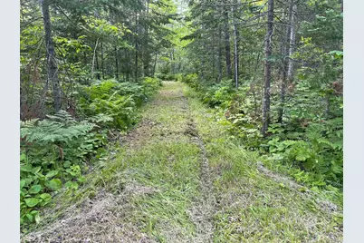 31069 Duluth Missabe and Iron, Pengilly, MN 55775 - Photo 10