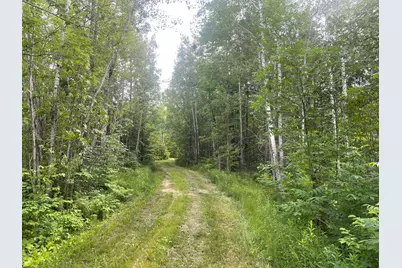 31069 Duluth Missabe and Iron, Pengilly, MN 55775 - Photo 6
