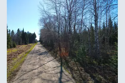 Parcel A Township Road D, Wawina, MN 55736 - Photo 4