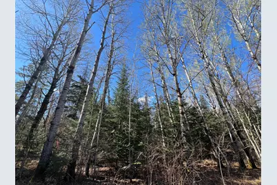 Parcel B Township Road D, Wawina, MN 55736 - Photo 4