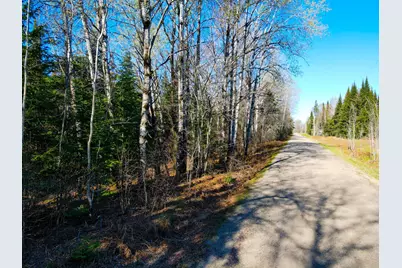 Parcel B Township Road D, Wawina, MN 55736 - Photo 2