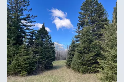 Parcel D Township Road D, Wawina, MN 55736 - Photo 6