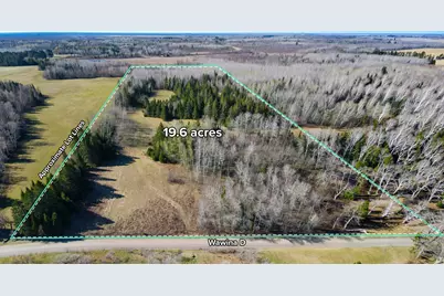Parcel D Township Road D, Wawina, MN 55736 - Photo 1