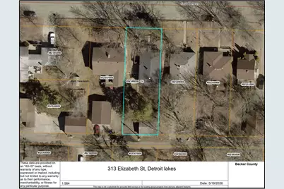 313 Elizabeth Street, Detroit Lakes, MN 56501 - Photo 66