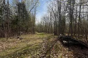35294 State Hwy 38, Grand Rapids, MN 55744 - Photo 2
