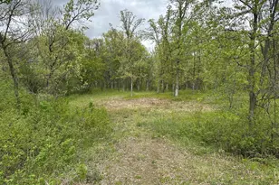 Tbd NW 301st Ave, Princeton, MN 55371 - Photo 1