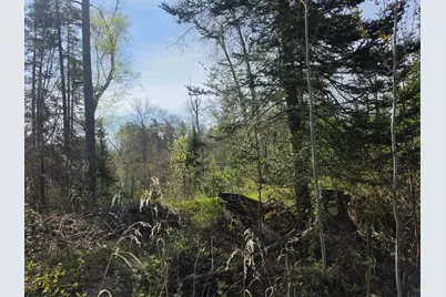 Tbd S Thunder Lake Drive NE, Remer, MN 56672 - Photo 4