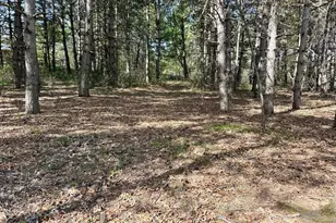 28110 112th St NW, Zimmerman, MN 55398 - Photo 42