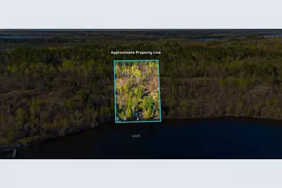 95642 Pine Island, Tower, MN 55790 - Photo 2