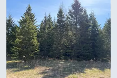 Tbd 66th Avenue NE, Remer, MN 56672 - Photo 2