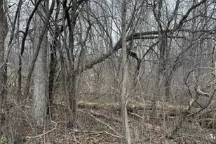 59Xx Lexington St, Duluth, MN 55807 - Photo 1