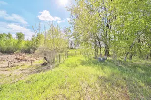 13765 161st Ave, Wadena, MN 56482 - Photo 70