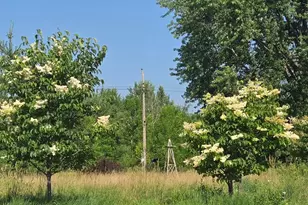 2588 Keystone St, Mora, MN 55051 - Photo 10