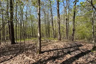 48990 Co Hwy 17, Vergas, MN 56587 - Photo 16