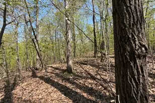48990 Co Hwy 17, Vergas, MN 56587 - Photo 16