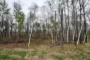 L17B1 Acorn Ridge Road NW, Bemidji, MN 56601 - Photo 1