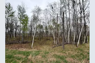 L17B1 Acorn Ridge Road NW, Bemidji, MN 56601 - Photo 8