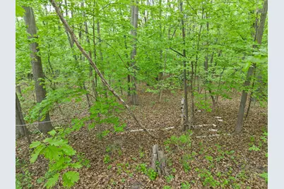 7636 Aladdin Avenue NW, Buffalo, MN 55313 - Photo 78