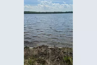 31510 Landing Drive, Dent, MN 56528 - Photo 6
