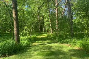 4919 Co Rd 141, Saint Augusta, MN 56301 - Photo 72