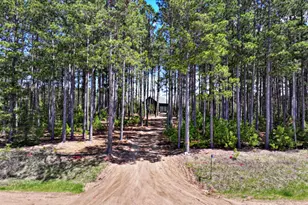 19616 Eagle Hvn Trl, Nevis, MN 56467 - Photo 2