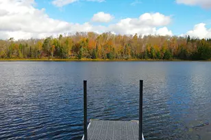 29658 W Mary Lake Dr, Bigfork, MN 56628 - Photo 8